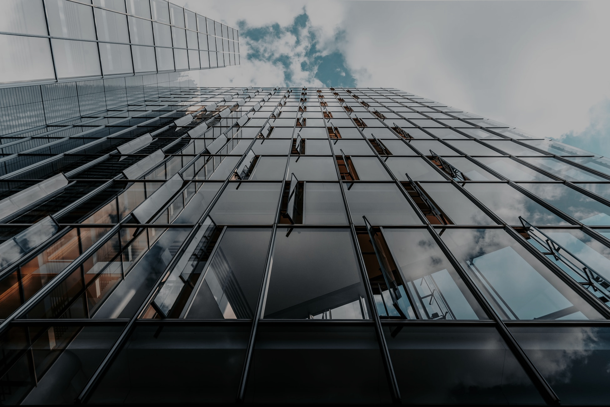 Organisation office with glass facade